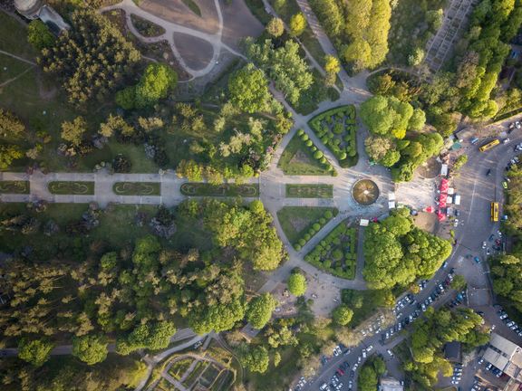 Multiple roads in a park with green trees