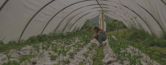 Woman working in a greenhouse