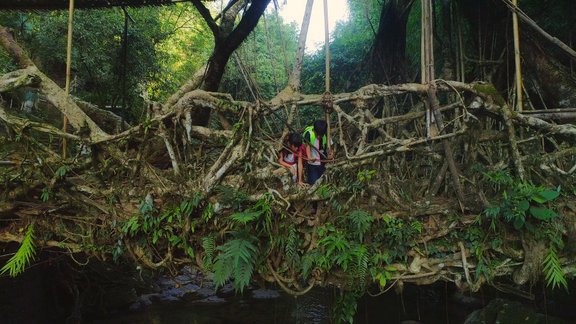 Two kids on a bridge made of tree roots
